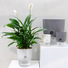 Load image into Gallery viewer, HydraPlant™ - Self Watering Plant Pot
